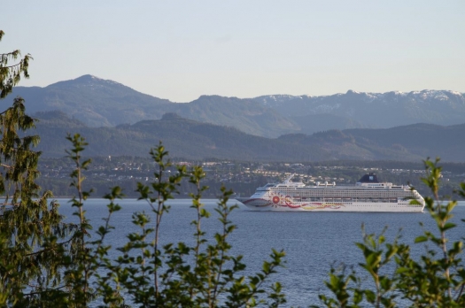 norwegian sun cruise ship